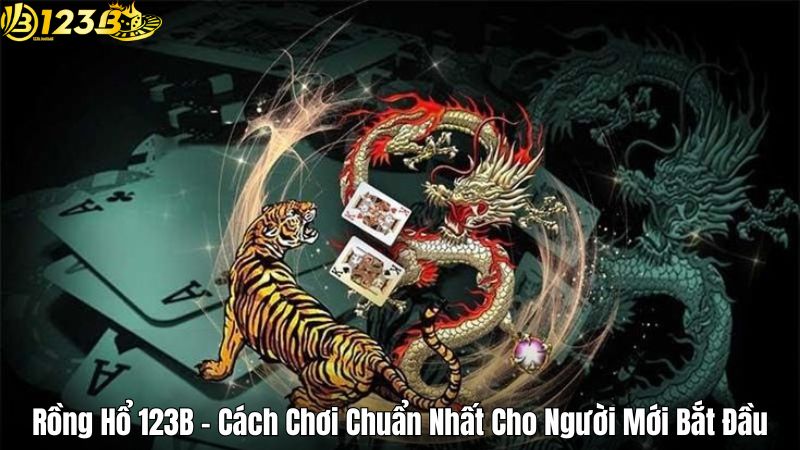 Rồng Hổ 123B - Cách Chơi Chuẩn Nhất Cho Người Mới Bắt Đầu